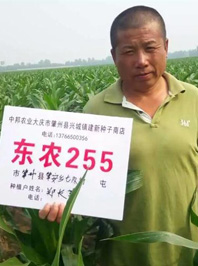 東農(nóng)255